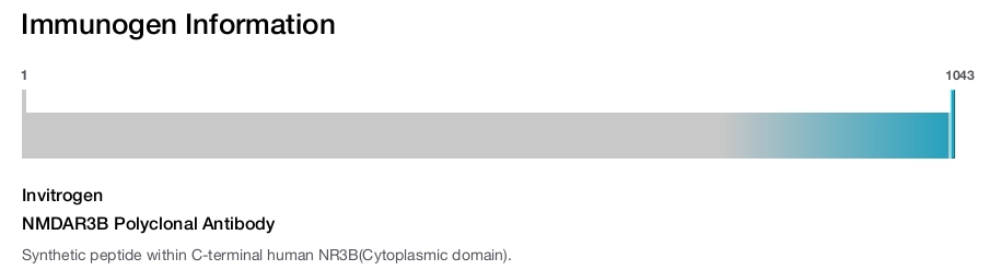 NMDAR3B Polyclonal Antibody