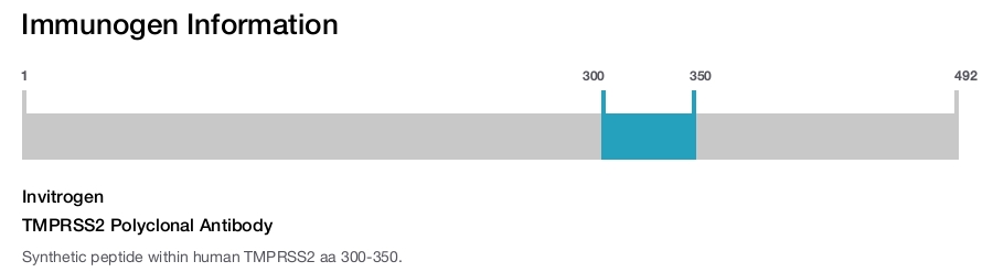 TMPRSS2 Polyclonal Antibody