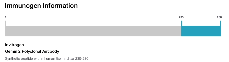 Gemin 2 Polyclonal Antibody