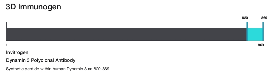Dynamin 3 Polyclonal Antibody