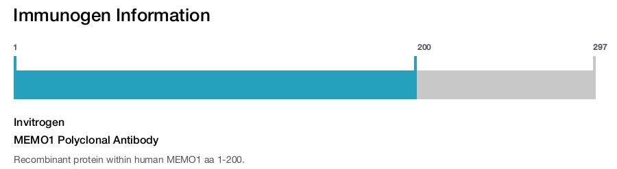 MEMO1 Polyclonal Antibody