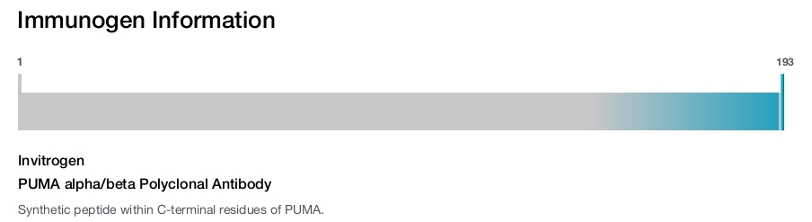 PUMA alpha/beta Polyclonal Antibody