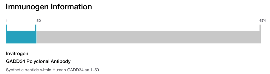 GADD34 Polyclonal Antibody
