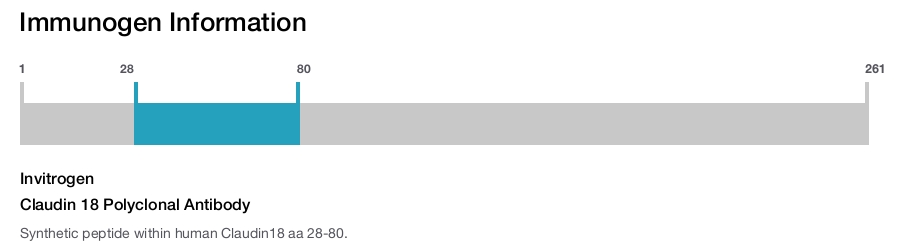 Claudin 18 Polyclonal Antibody