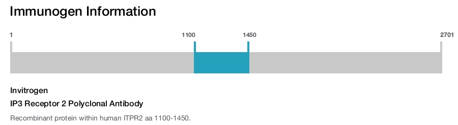 IP3 Receptor 2 Polyclonal Antibody
