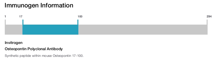 Osteopontin Polyclonal Antibody