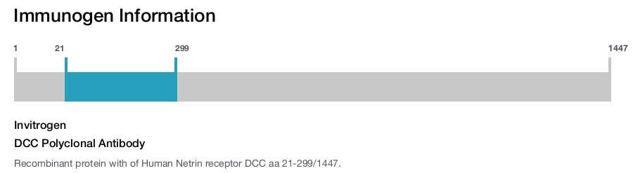 DCC Polyclonal Antibody