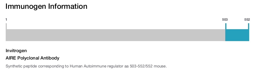 AIRE Polyclonal Antibody