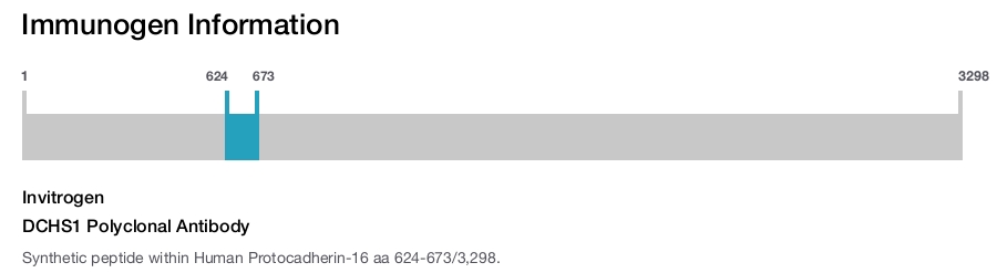 DCHS1 Polyclonal Antibody