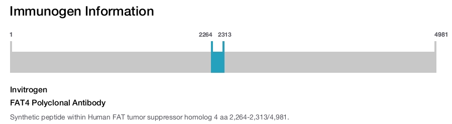 FAT4 Polyclonal Antibody
