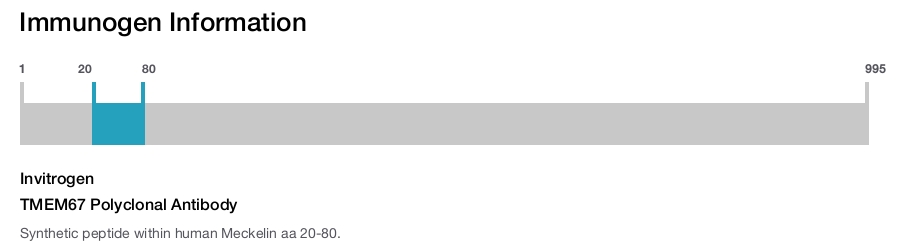 TMEM67 Polyclonal Antibody