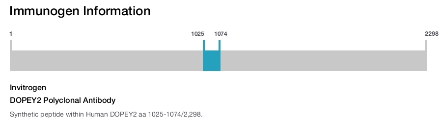 DOPEY2 Polyclonal Antibody