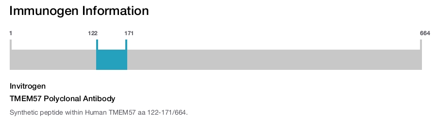 TMEM57 Polyclonal Antibody