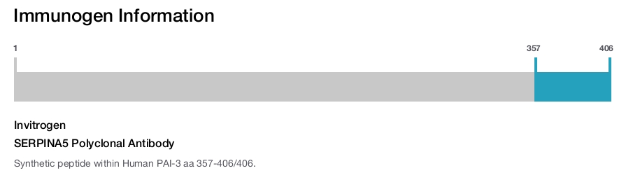 SERPINA5 Polyclonal Antibody