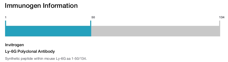 Ly-6G Polyclonal Antibody