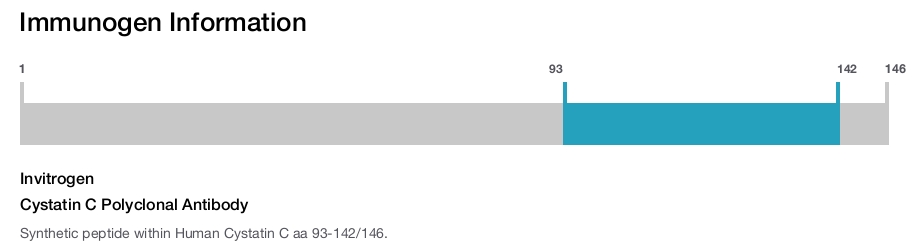 Cystatin C Polyclonal Antibody
