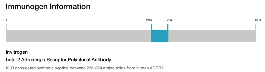 beta-2 Adrenergic Receptor Polyclonal Antibody