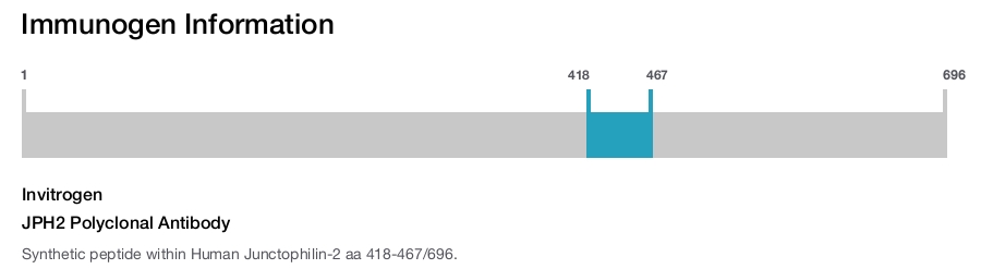 JPH2 Polyclonal Antibody