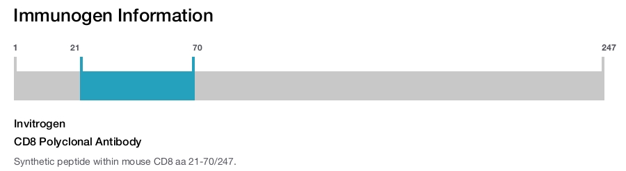 CD8 Polyclonal Antibody