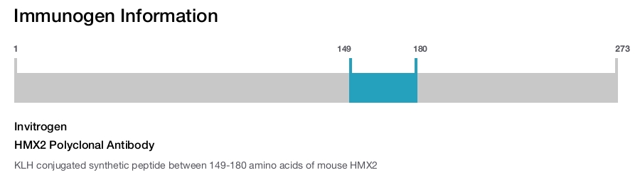 HMX2 Polyclonal Antibody