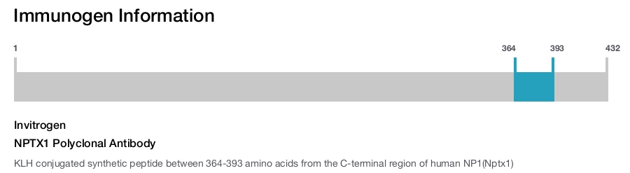 NPTX1 Polyclonal Antibody