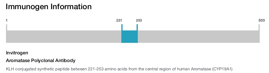 Aromatase Polyclonal Antibody