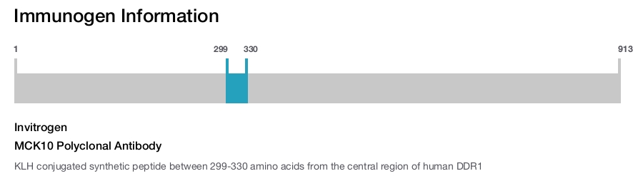 MCK10 Polyclonal Antibody