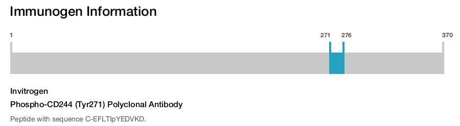 Phospho-CD244 (Tyr271) Polyclonal Antibody