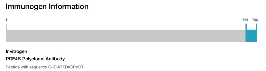 PDE4B Polyclonal Antibody