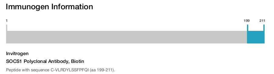 SOCS1 Polyclonal Antibody, Biotin