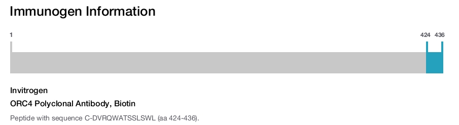 ORC4 Polyclonal Antibody, Biotin