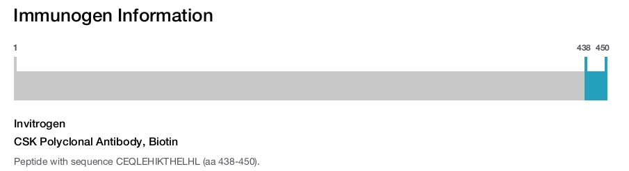 CSK Polyclonal Antibody, Biotin
