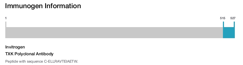 TXK Polyclonal Antibody