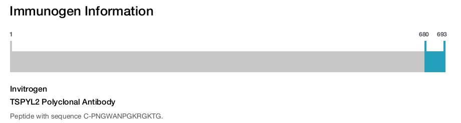 TSPYL2 Polyclonal Antibody