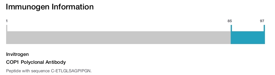 COP1 Polyclonal Antibody