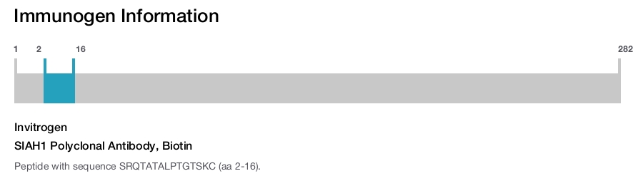 SIAH1 Polyclonal Antibody, Biotin