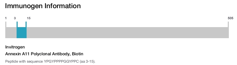 Annexin A11 Polyclonal Antibody, Biotin