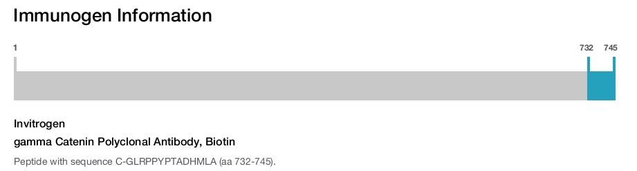 gamma Catenin Polyclonal Antibody, Biotin