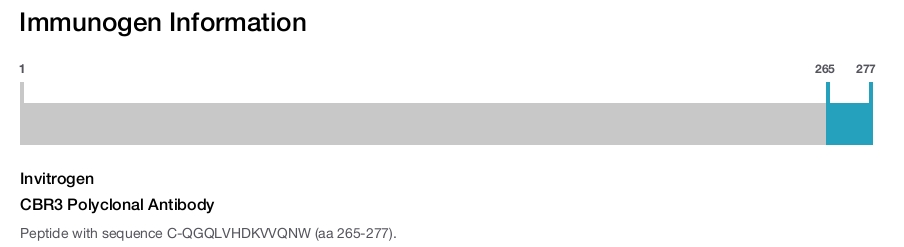 CBR3 Polyclonal Antibody