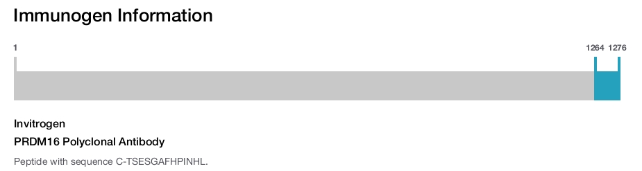 PRDM16 Polyclonal Antibody