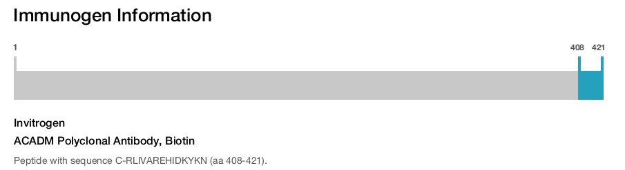 ACADM Polyclonal Antibody, Biotin