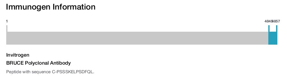 BRUCE Polyclonal Antibody