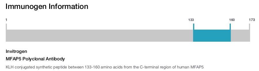 MFAP5 Polyclonal Antibody
