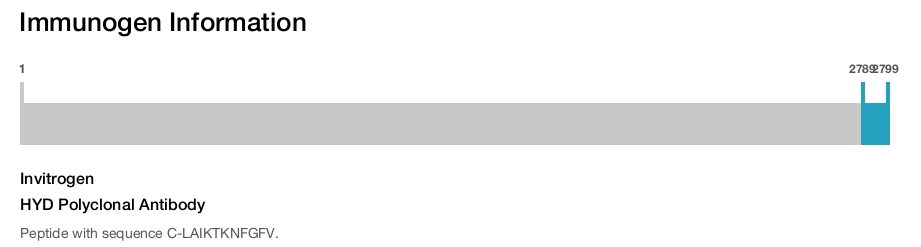 HYD Polyclonal Antibody