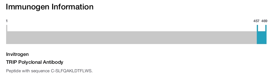 TRIP Polyclonal Antibody