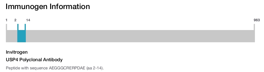 USP4 Polyclonal Antibody