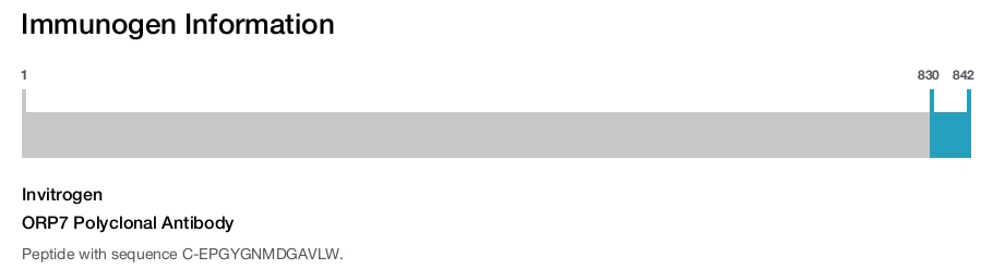 ORP7 Polyclonal Antibody