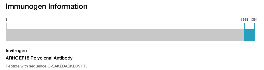 ARHGEF18 Polyclonal Antibody