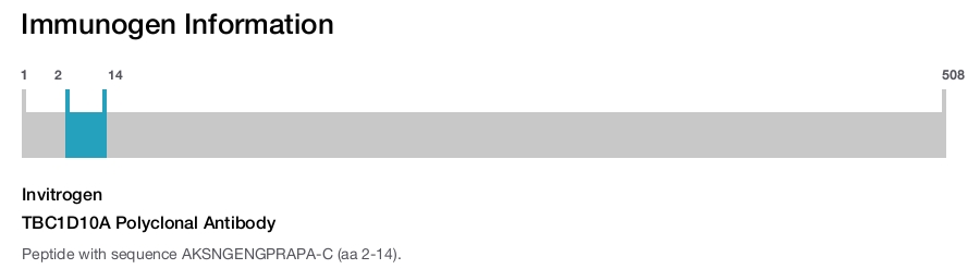 TBC1D10A Polyclonal Antibody