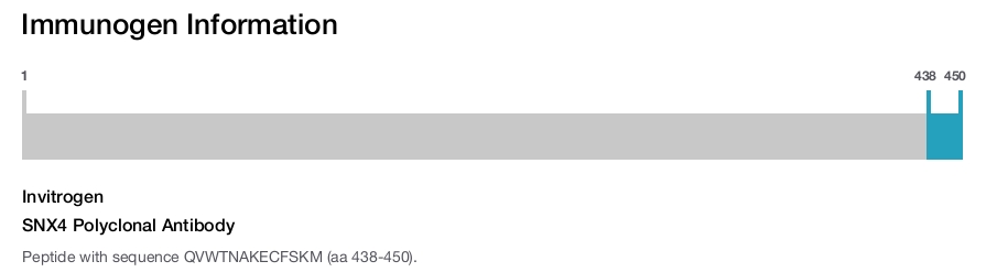 SNX4 Polyclonal Antibody